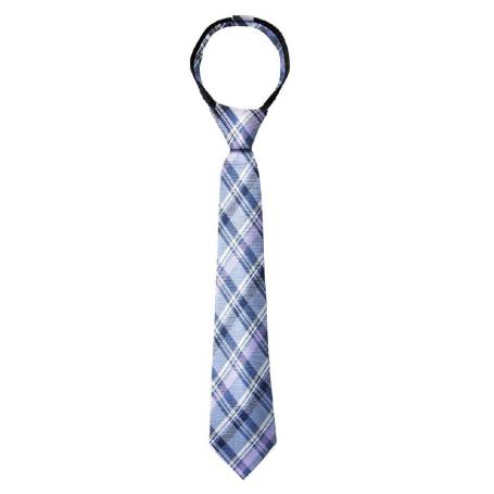Blue And Lilac Plaid Tie Manufacturers in Delhi