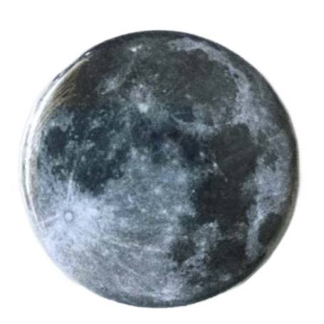 Gray And White Full Moon Button Buddies Manufacturers in Delhi