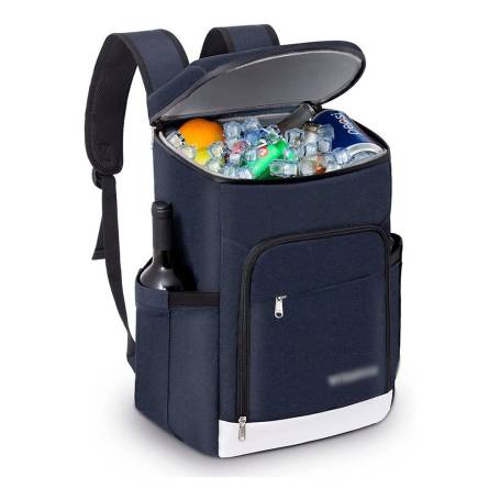 Promotional Insulated Cooler Bag Manufacturers in Delhi