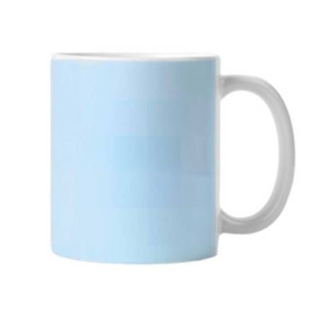 Sky Blue Mug Manufacturers in Delhi